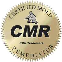 Mold Remediation